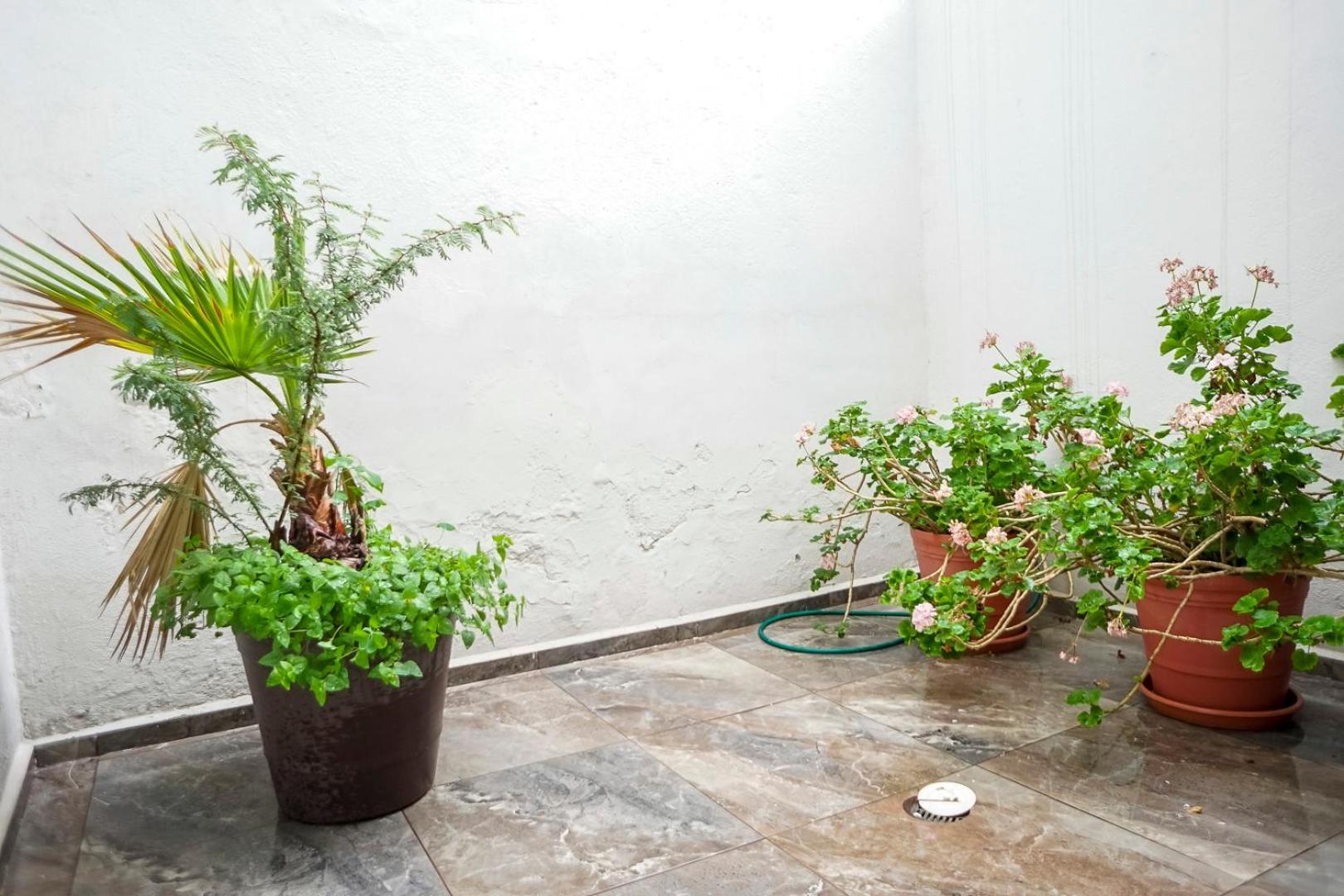 Casa Morelos Stayhouse San Luis Potosi Ngoại thất bức ảnh