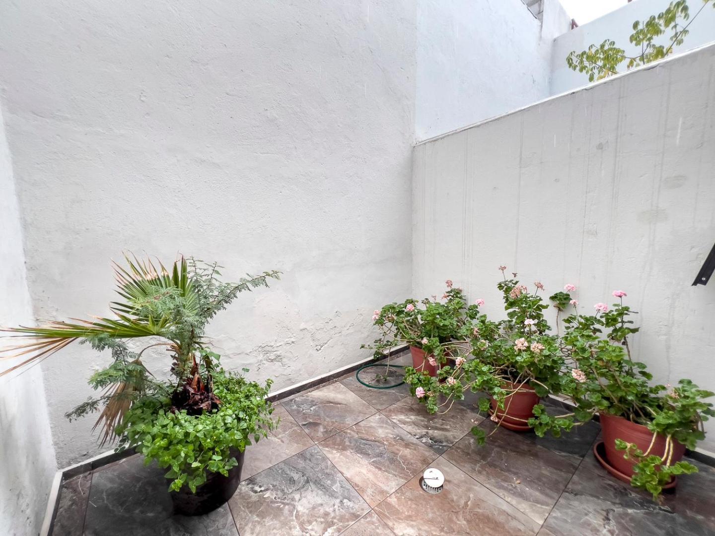 Casa Morelos Stayhouse San Luis Potosi Ngoại thất bức ảnh