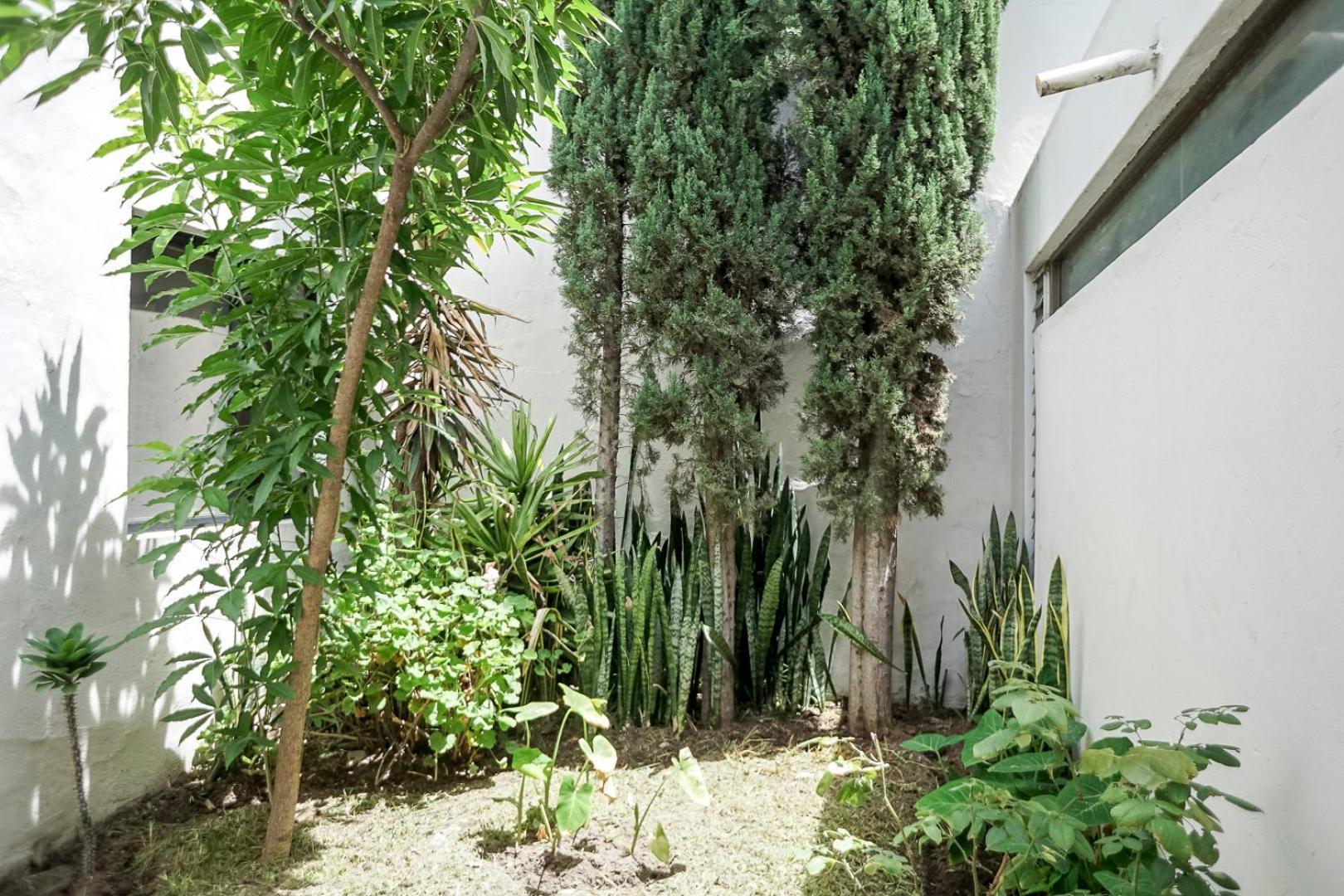 Casa Morelos Stayhouse San Luis Potosi Ngoại thất bức ảnh